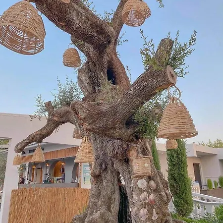 Feriested Venus Tsilivi (Zakynthos)
