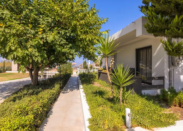 Venus * Tsilivi (Zakynthos)