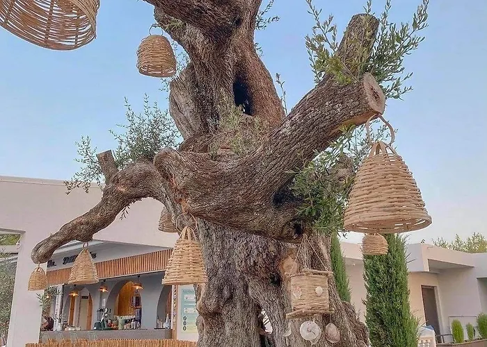 Resort Venus Tsilivi (Zakynthos)